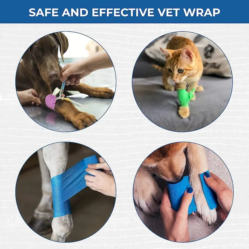 pergro1656298562720