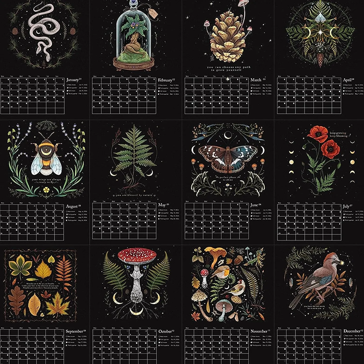 almhsu1694502948969